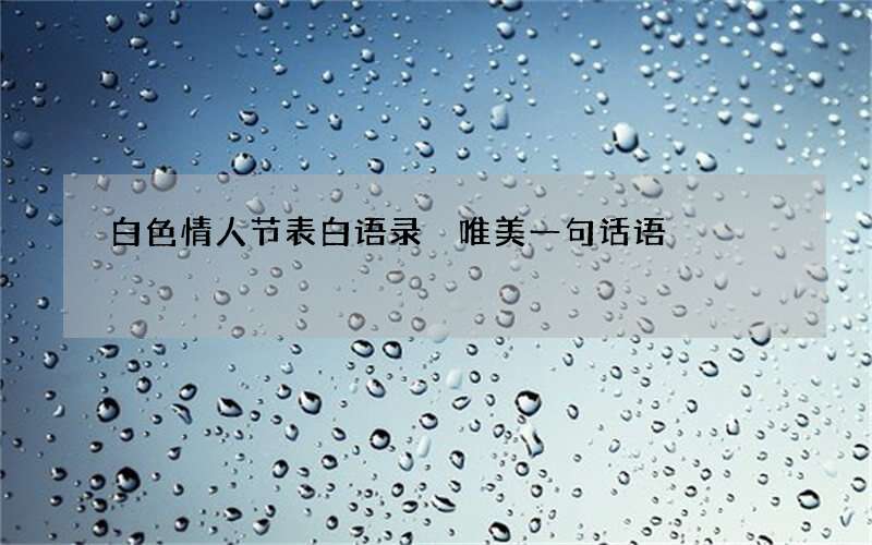 白色情人节表白语录 唯美一句话语